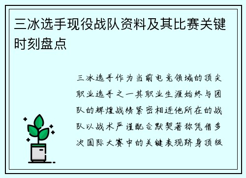 三冰选手现役战队资料及其比赛关键时刻盘点